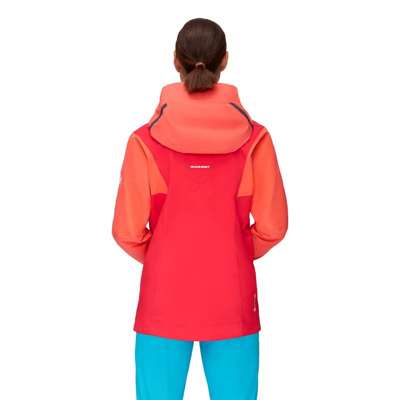 Mammut Nordwand Pro Hooded Hardshelljacke Damen