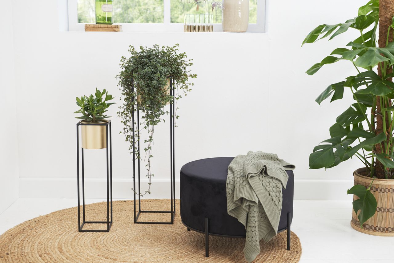 Lifa Living Pflanzgefäß Violett - 2er Set - Gold