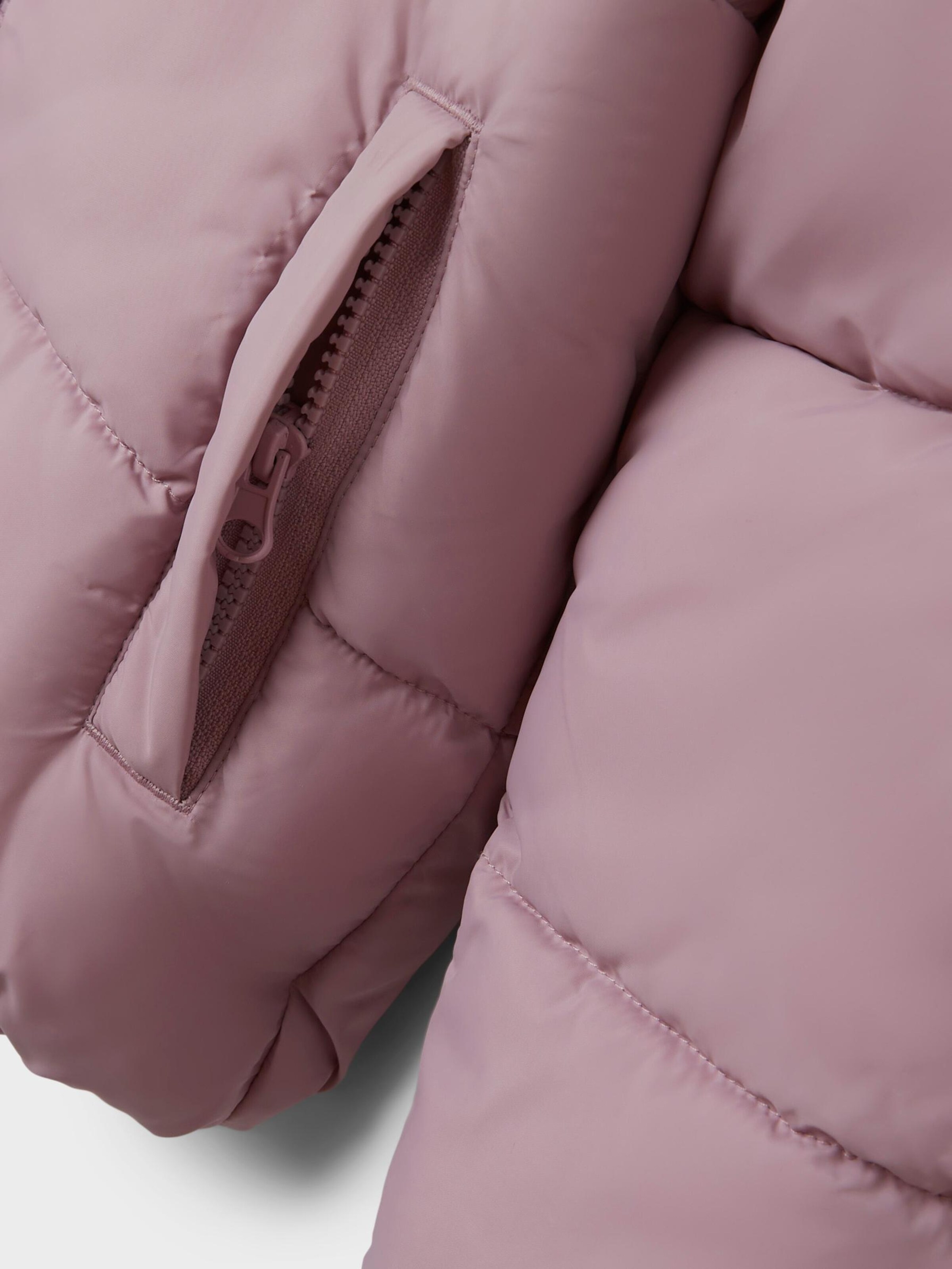 Winter Jacket