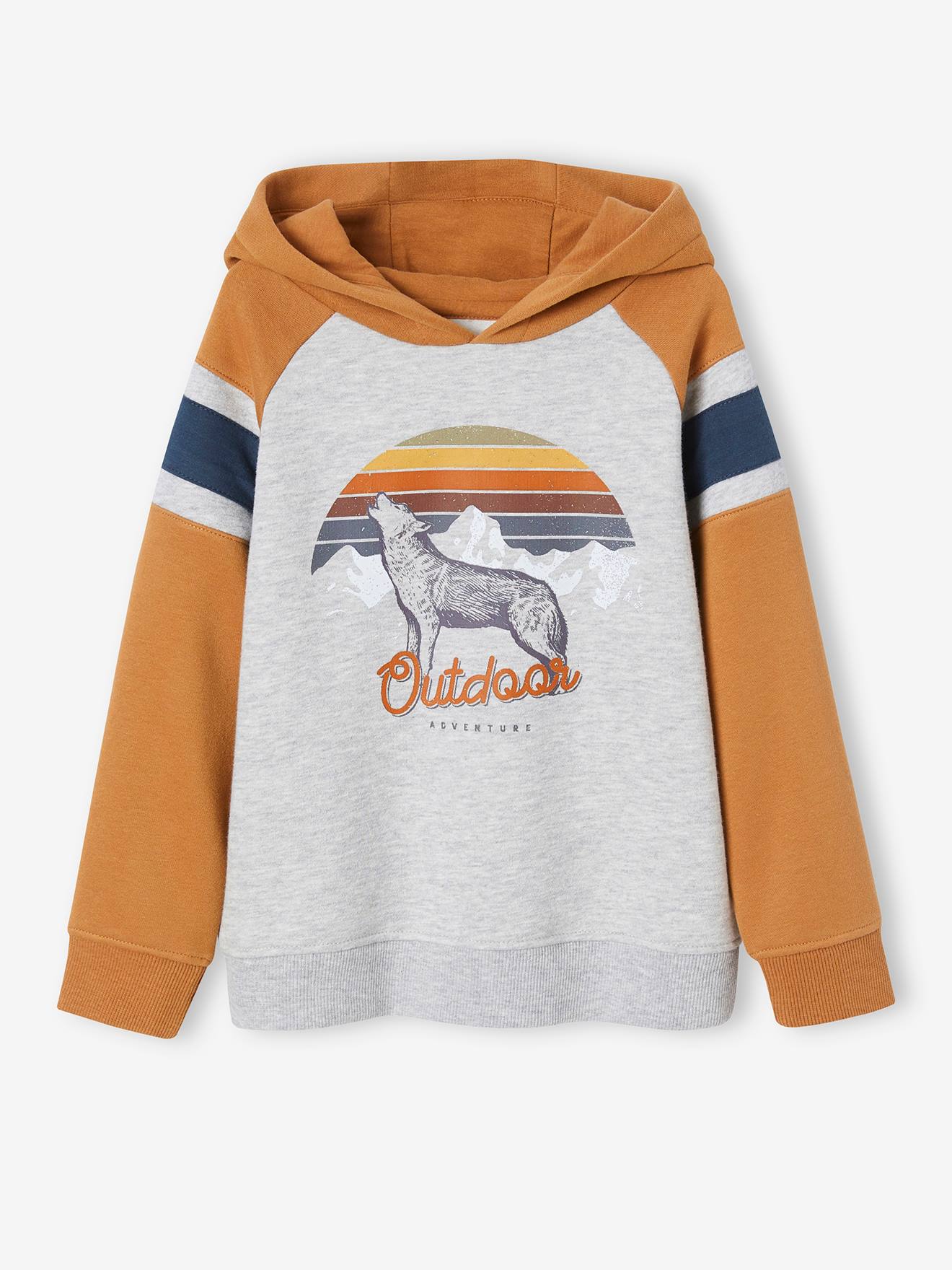 Sweat à capuche motif graphique manches raglan garçon bleu nuit