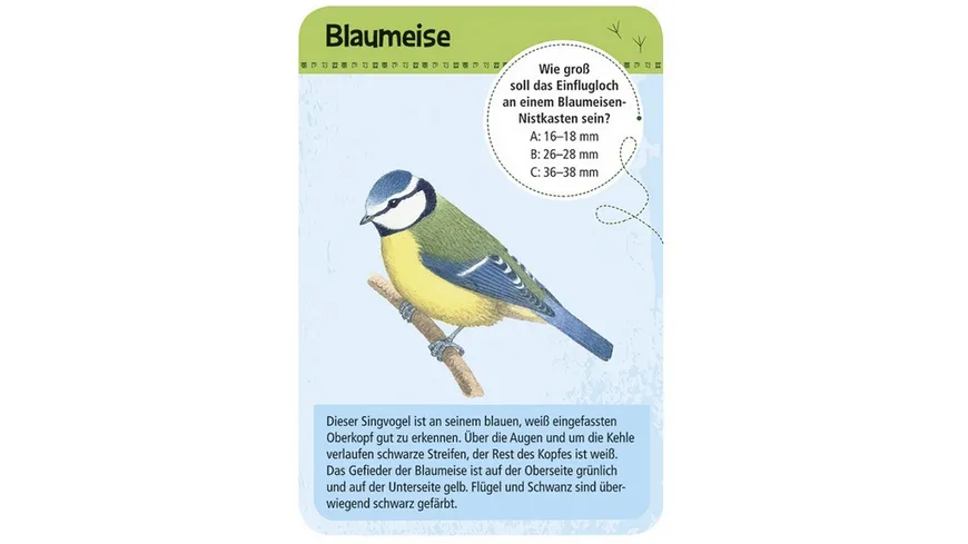 moses. - Expedition Natur - 50 heimische Vögel