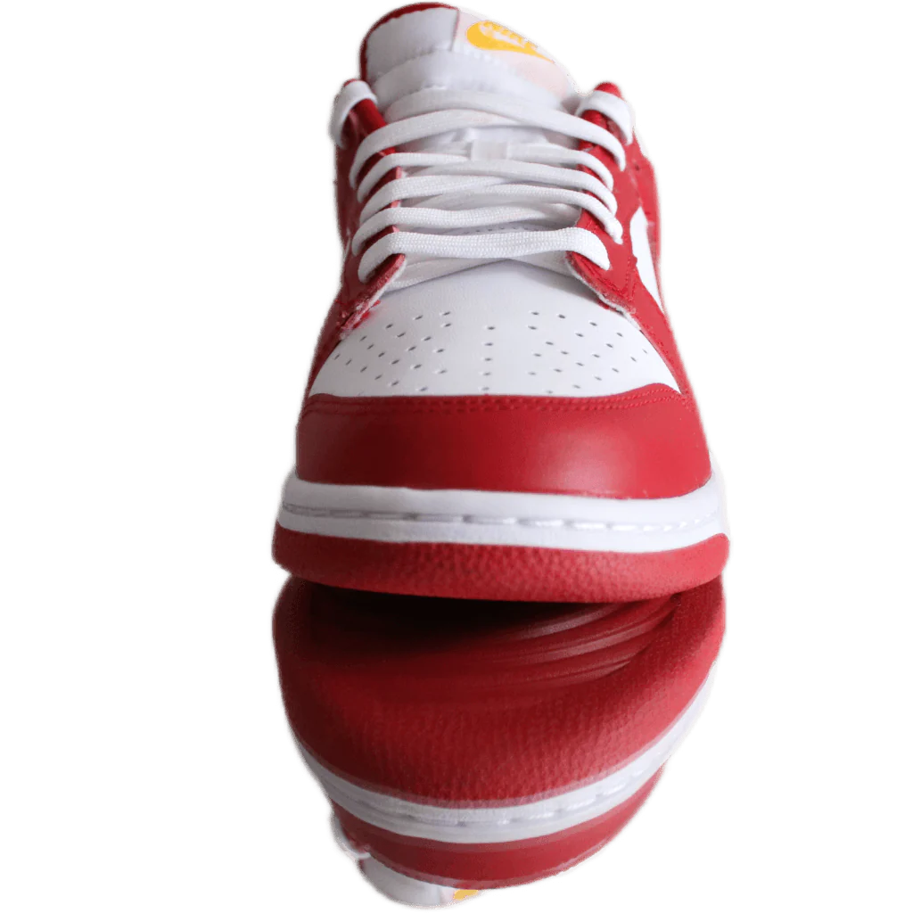 Nike Dunk Low USC