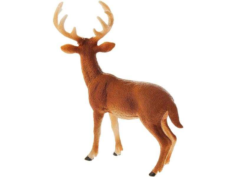 Cerf de Virginie