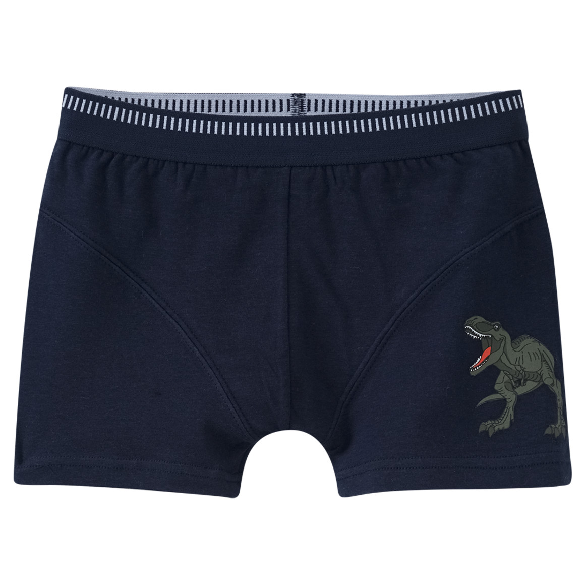 3 Jungen Boxer mit Dino-Motiven