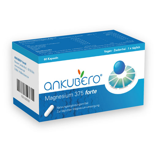 MAGNESIUM 375 forte Kapseln  60 St  Kapseln