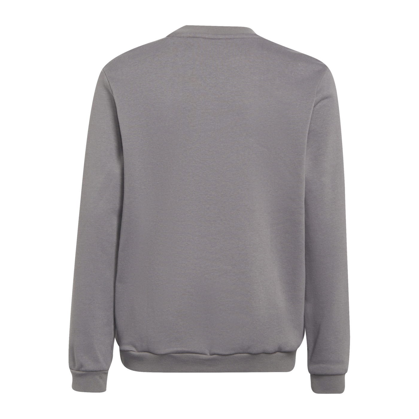 adidas Entrada 22 Sweatshirt Kids Grau