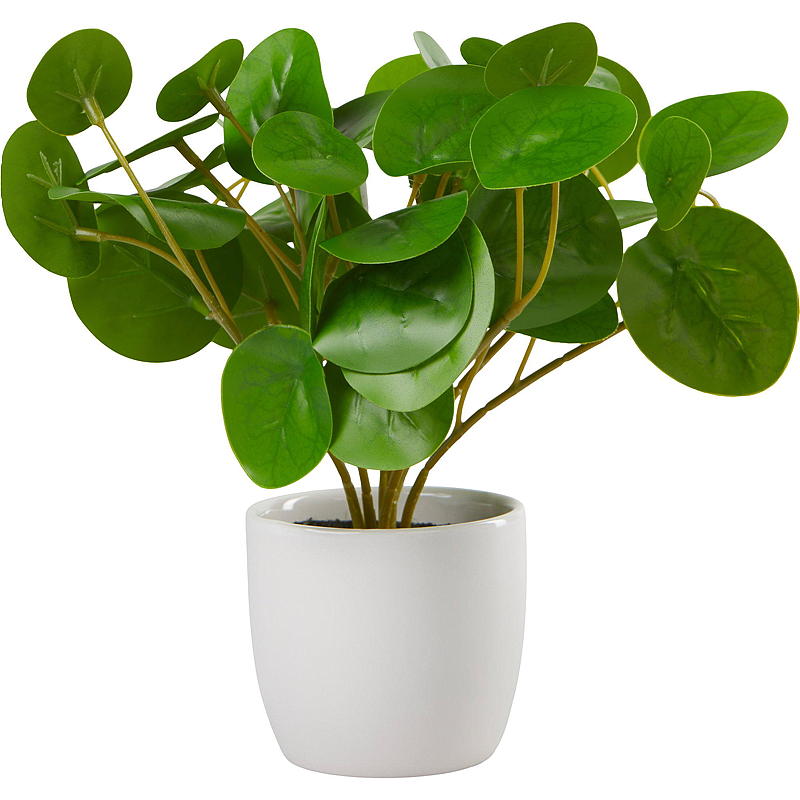 Home Grønnplante 25 cm i porselenspotte