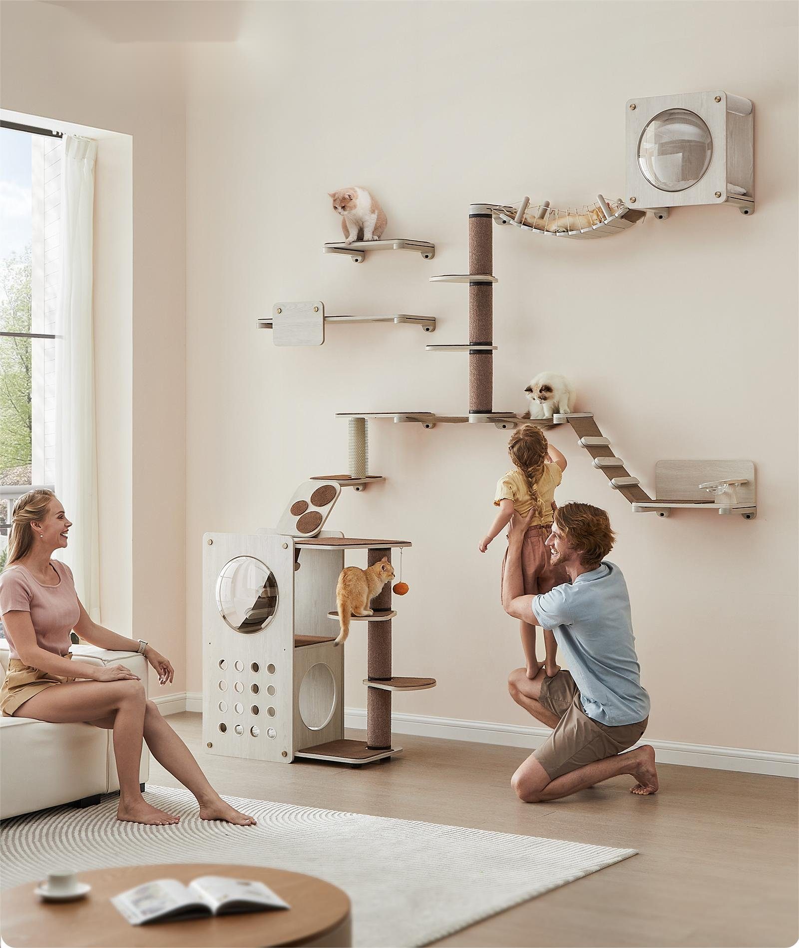 FEANDREA Katzen-Kletterwand, Kratzbaum Clickat Katzen-Kletterhängematte mit Leiter