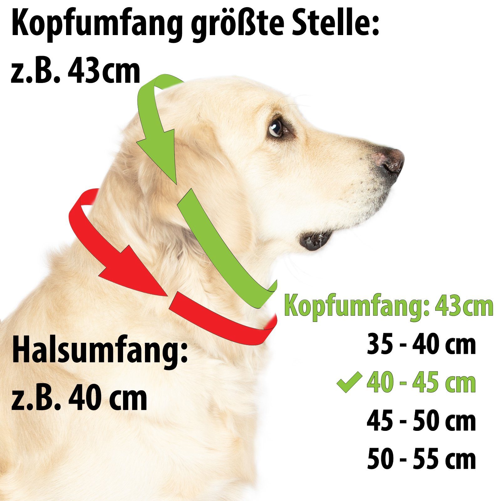CopcoPet Hunde-Halsband Lederhalsband mit Zugstopp Ring, Leder, Geflochten, Handarbeit