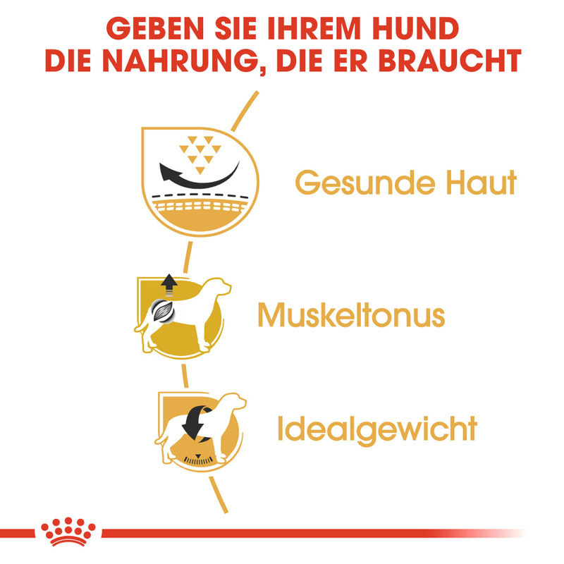 ROYAL CANIN Hundetrockenfutter ROYAL CANIN Mops Adult 2x3 kg