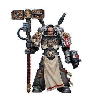 Warhammer 40k Actionfigur: Grey Knights - Interceptor Squad: Interceptor Justicar