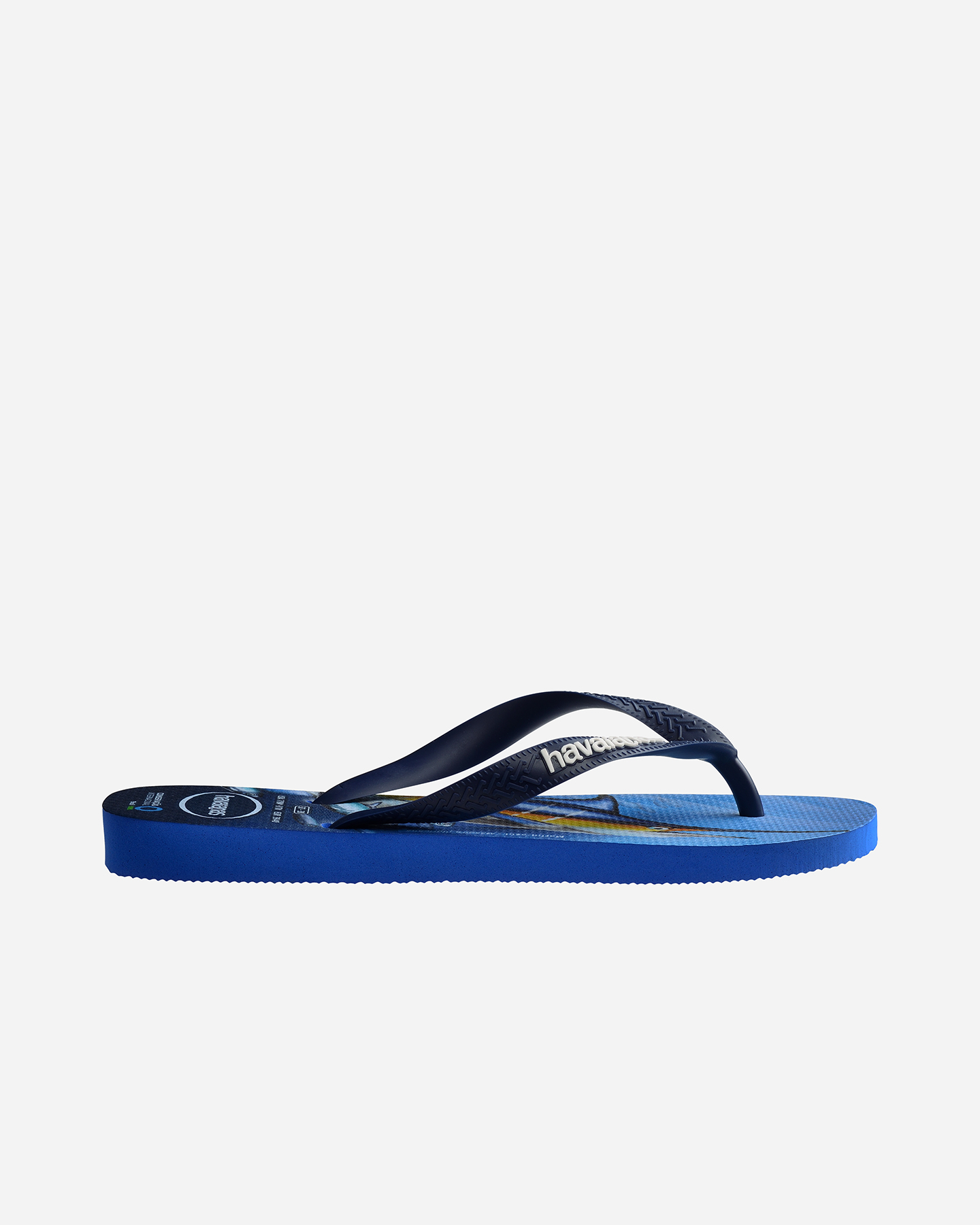 Infradito Havaianas Conservacao M 4119507-3847