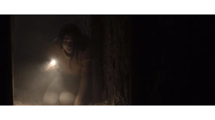 Safehouse - Die Rache des Kartells
