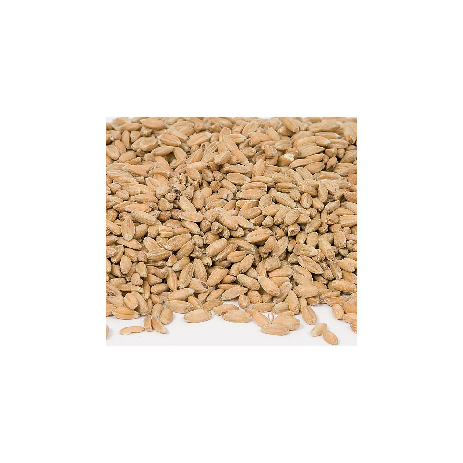 Bio-Dinkelkerne, 1 kg