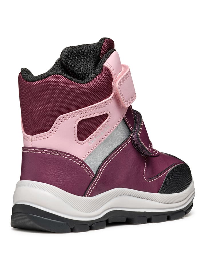 Geox Boots 