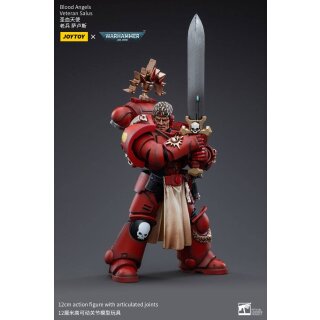 Warhammer 40k Actionfigur: Blood Angels Veteran Salus