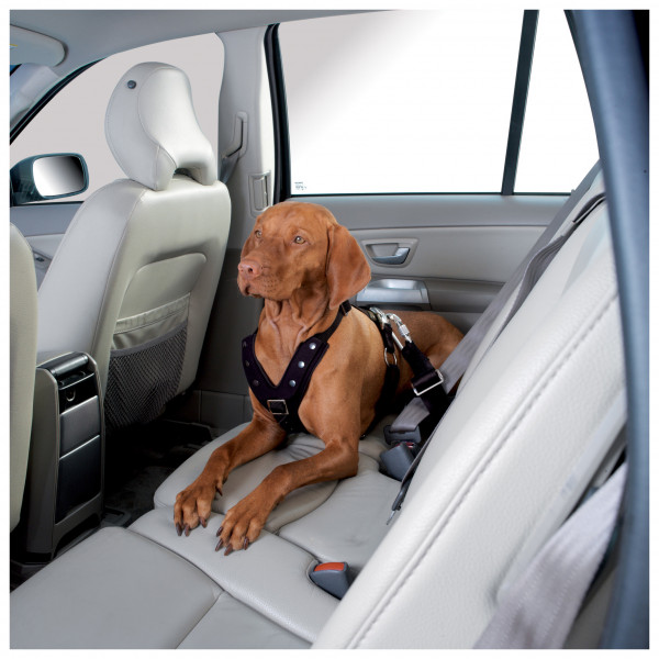 Hunter - Geschirr Autosicherheit Easy Comfort - Hundegeschirr