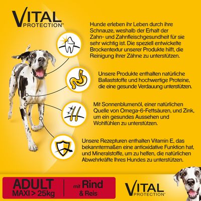 Pedigree Adult Maxi mit Rind & Reis