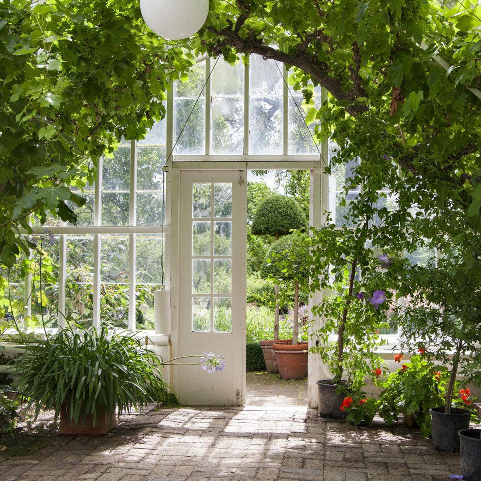 TolleTour Gewächshaus Automatischer Fensteröffner für Gewächshaus, bis ca.7 kg