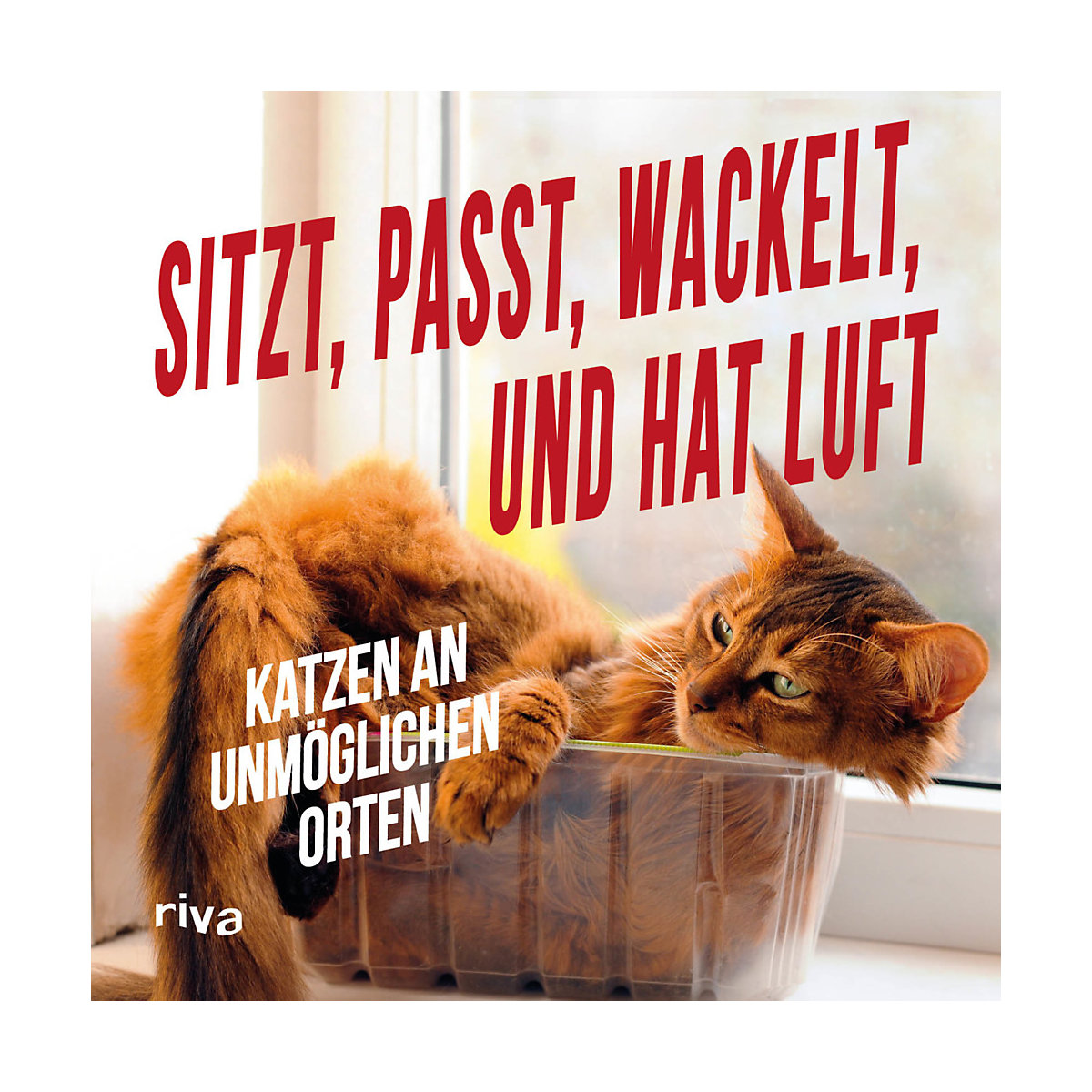 Sitzt, passt, wackelt und hat Luft