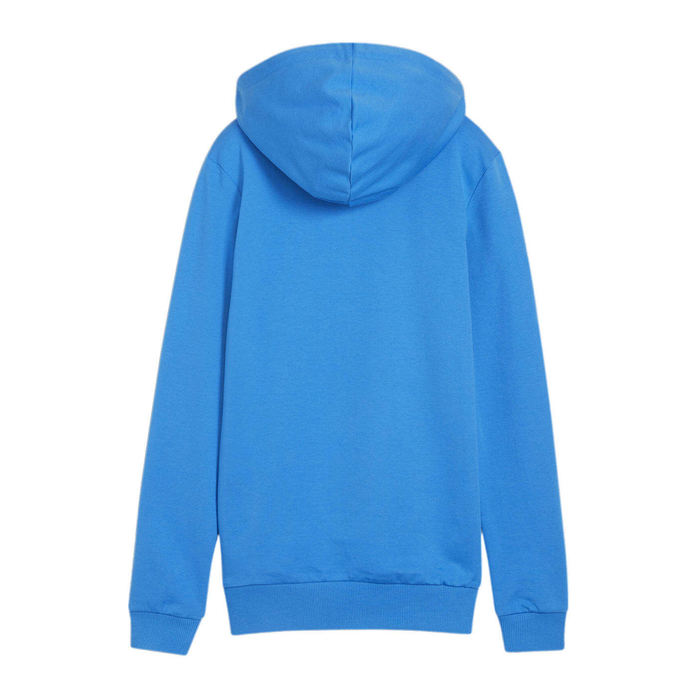 PUMA teamGOAL Casuals Hoody Damen Blau F02