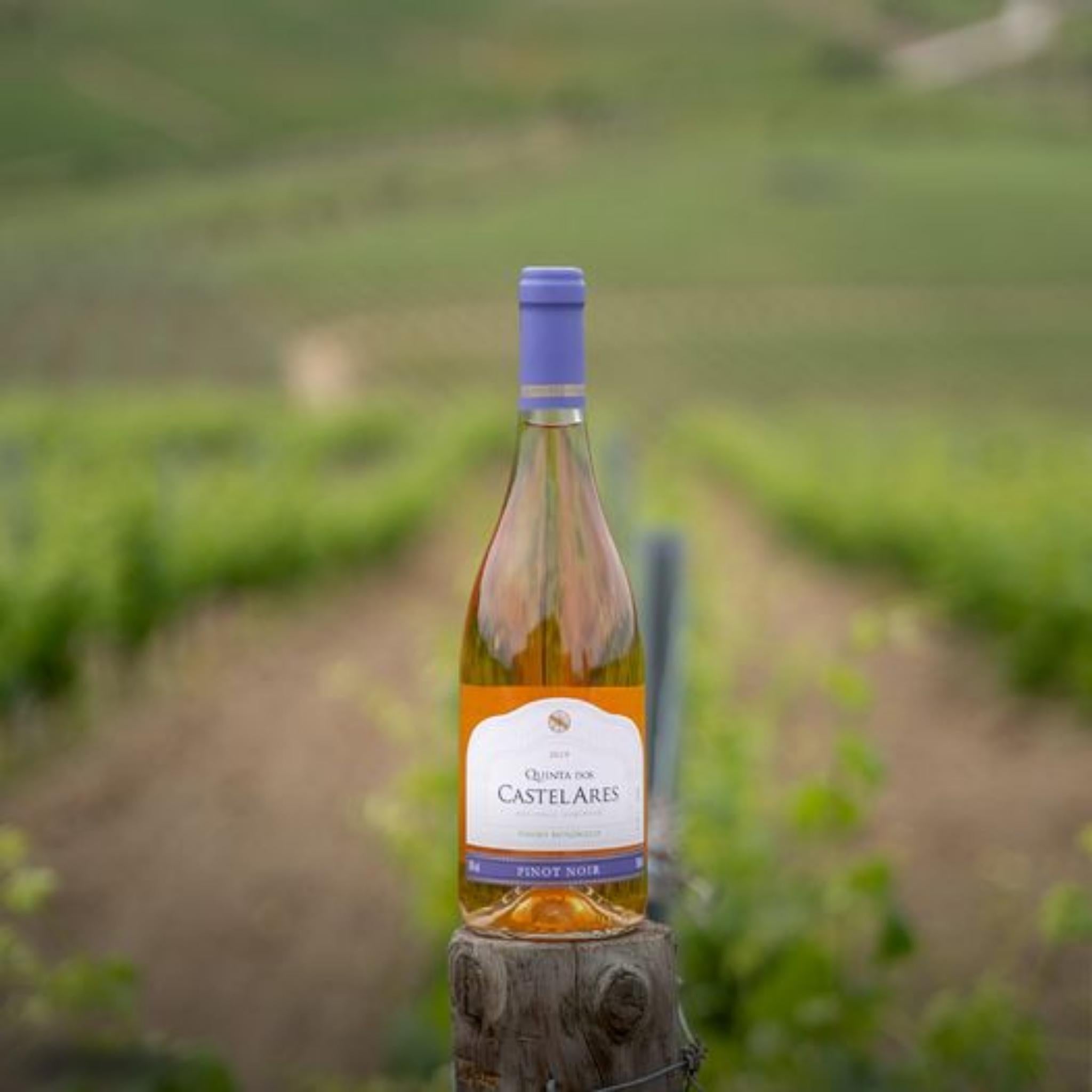 QUINTA DOS CASTELARES PINOT NOIR ROSÉ 2022 - BIOWEIN