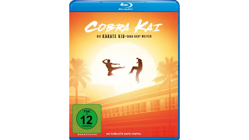 Cobra Kai -  Staffel 1  [2 BRs]