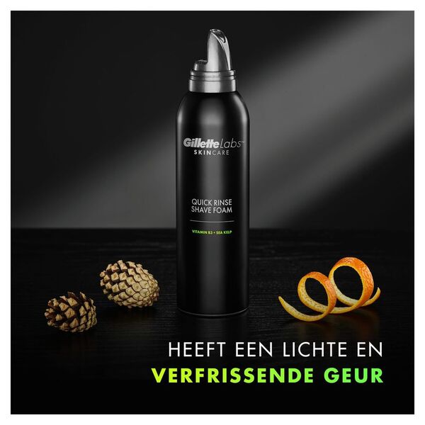 GilletteLabs Shaving Foam 240ml