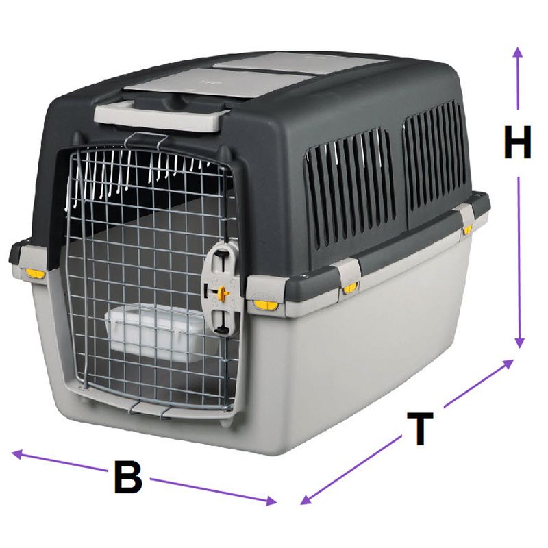 Welpen-Starterpaket für mittelgroße & große Hunde
