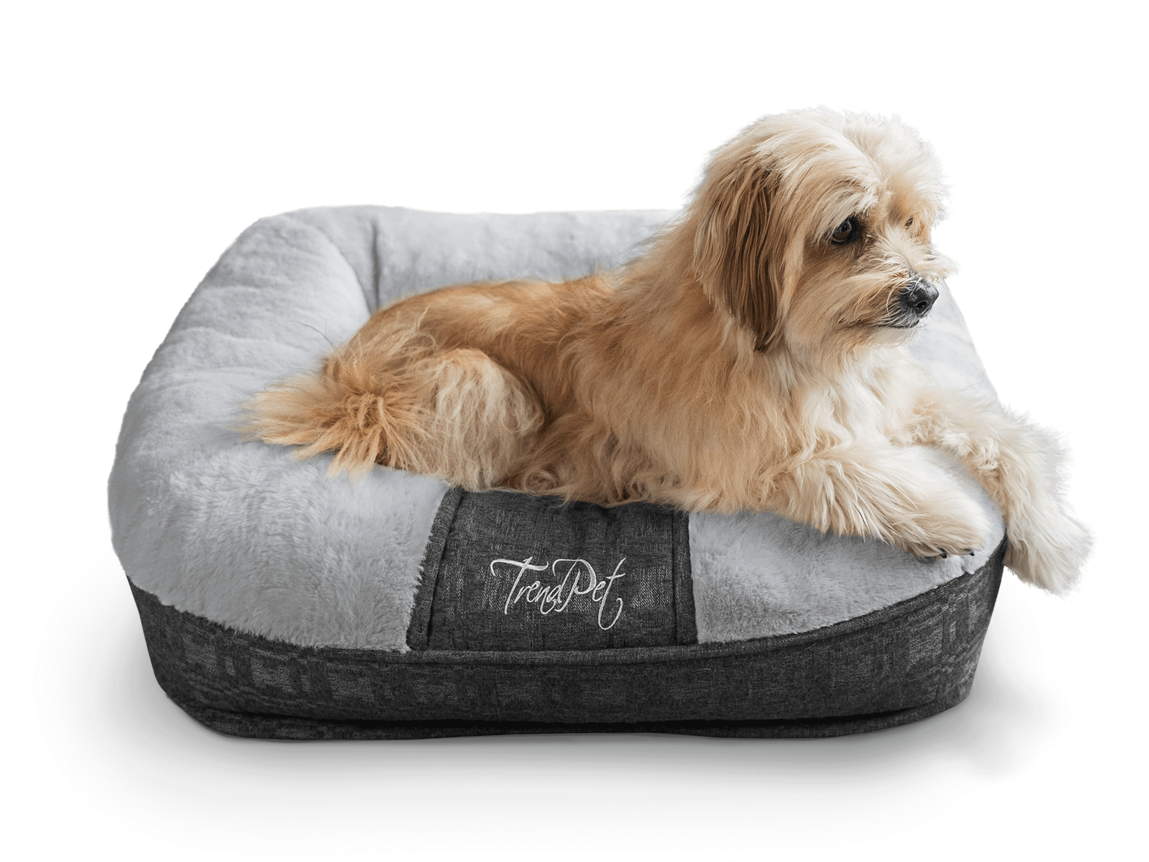 TrendPet Hundebetten TrendPet LunaLounge Hundebett grau S
