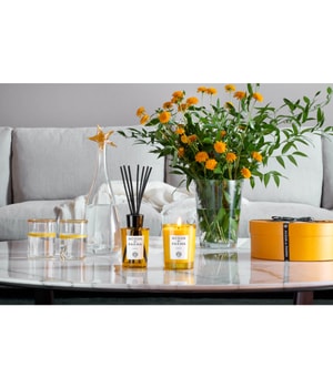 Acqua di Parma Home Fragrance Insieme Aroma Diffusor-180 ml