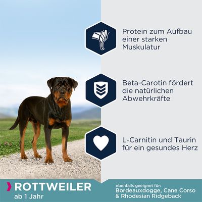 Eukanuba Adult Breed Specific Rottweiler
