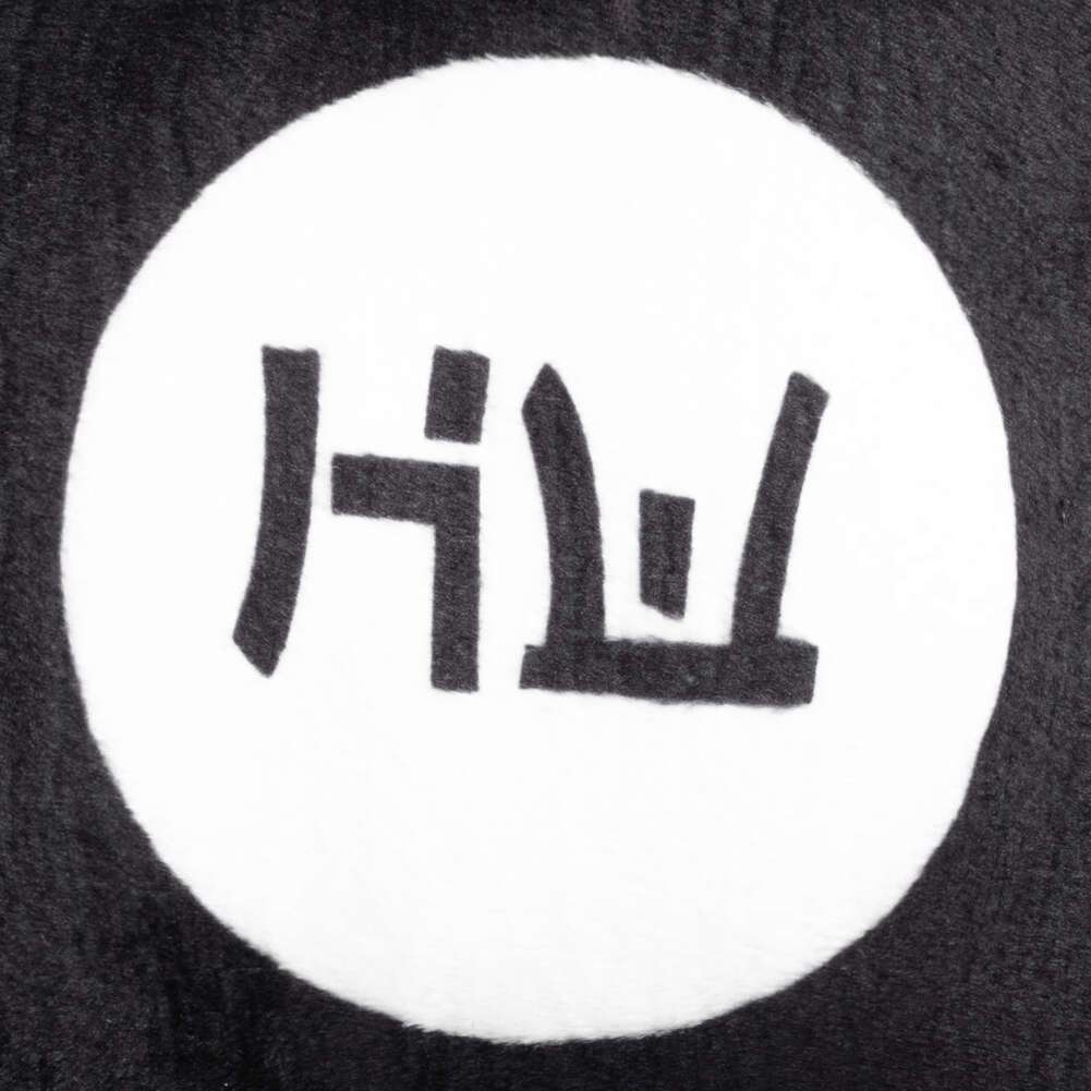HIDETOSHI WAKASHIMA 