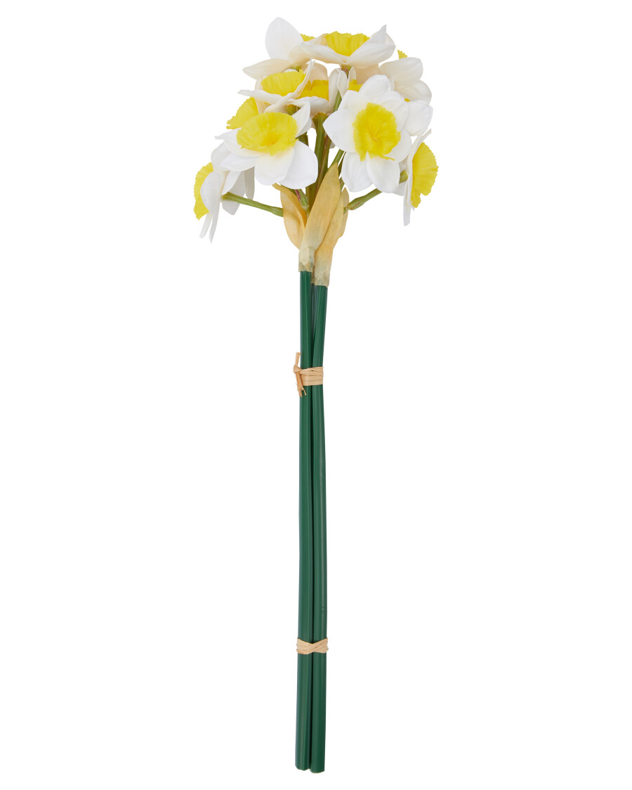 Kunstblume Narzisse