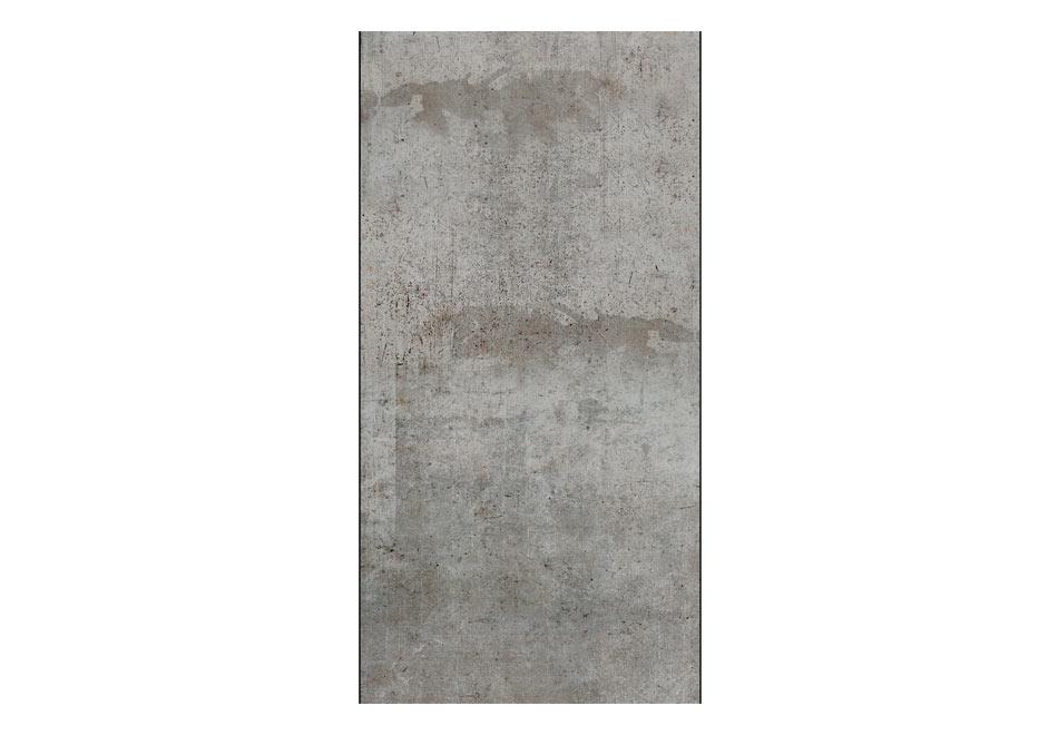 Artgeist Gray pigeon