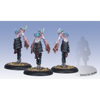 Legion of Everblight Spell Martyrs Solo (3) [PIP73053]