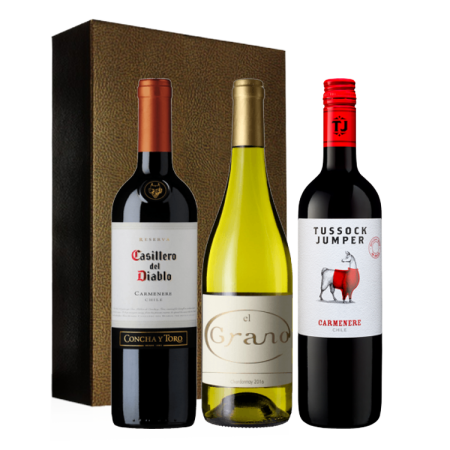 COFFRET TRIO - PLAISIRS CHILIENS