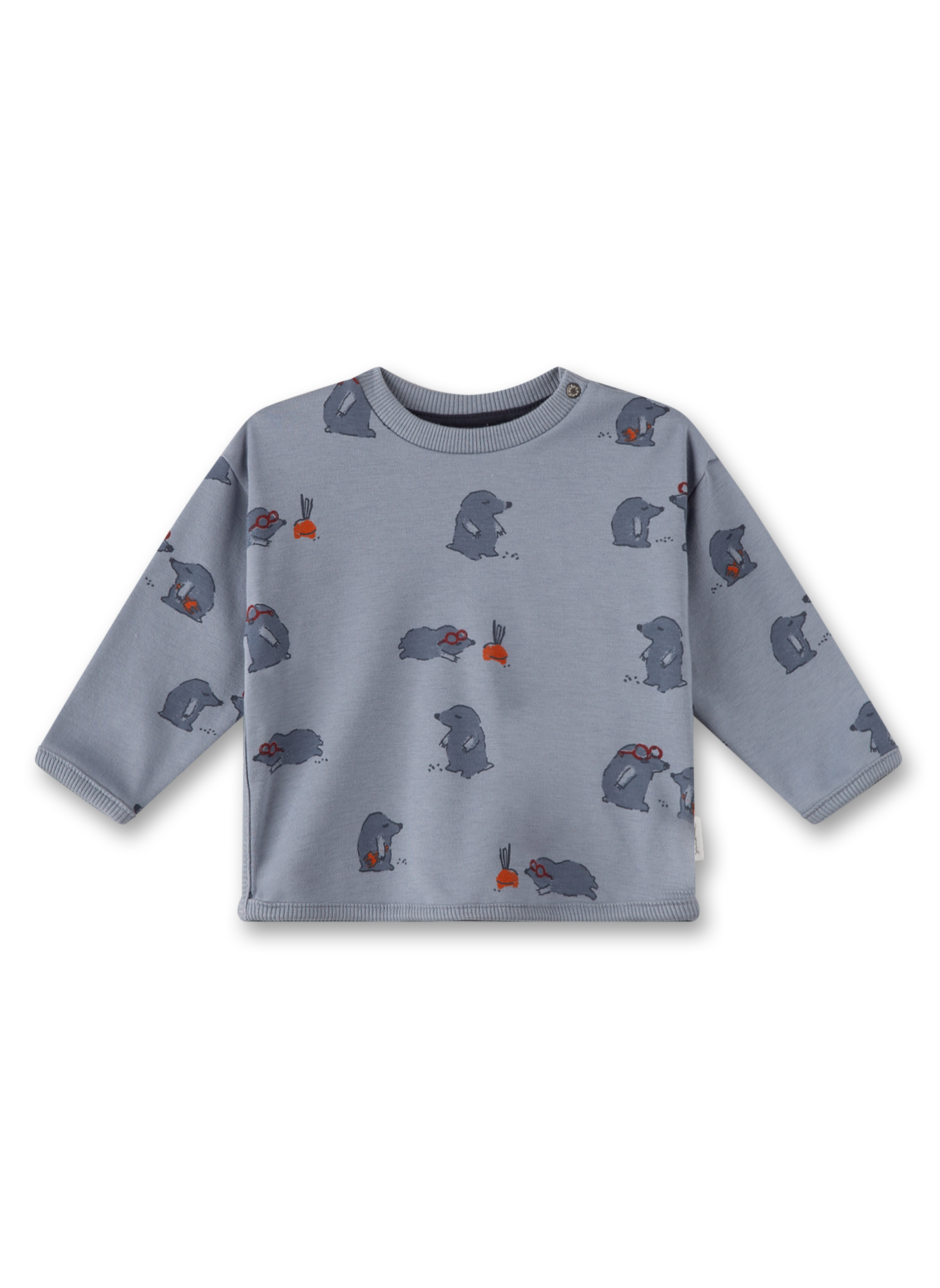 Jungen-Sweatshirt Grau