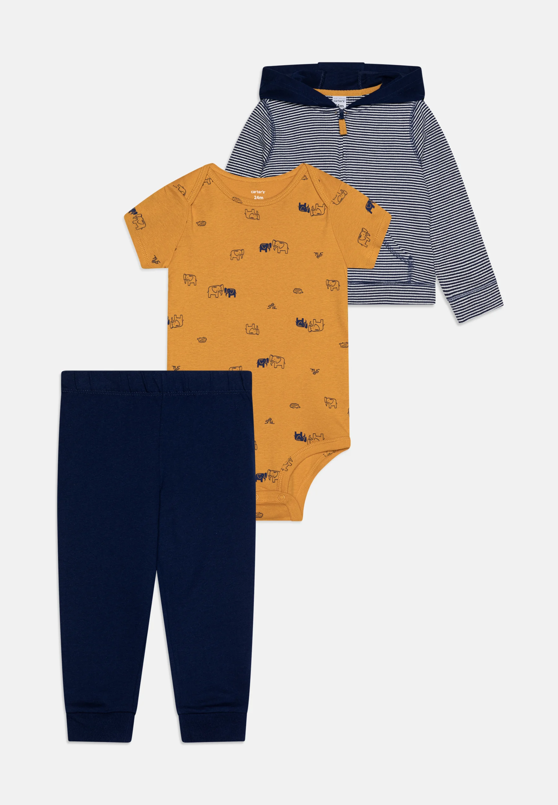 Conjunto CARDI de Carter - Cuerpo