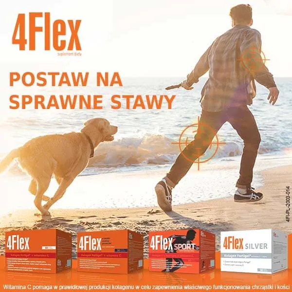 Flex Preparat za jačanje zglobova Prašak u vrećicama