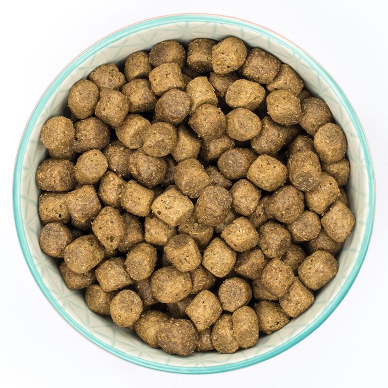 Burns Puppy Original Huhn & Reis zu TOP-Preisen