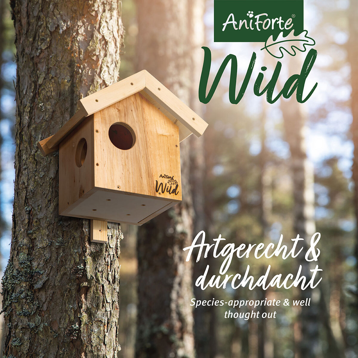 Aniforte Eichhörnchen Aniforte Wild Eichhörnchen Kobel