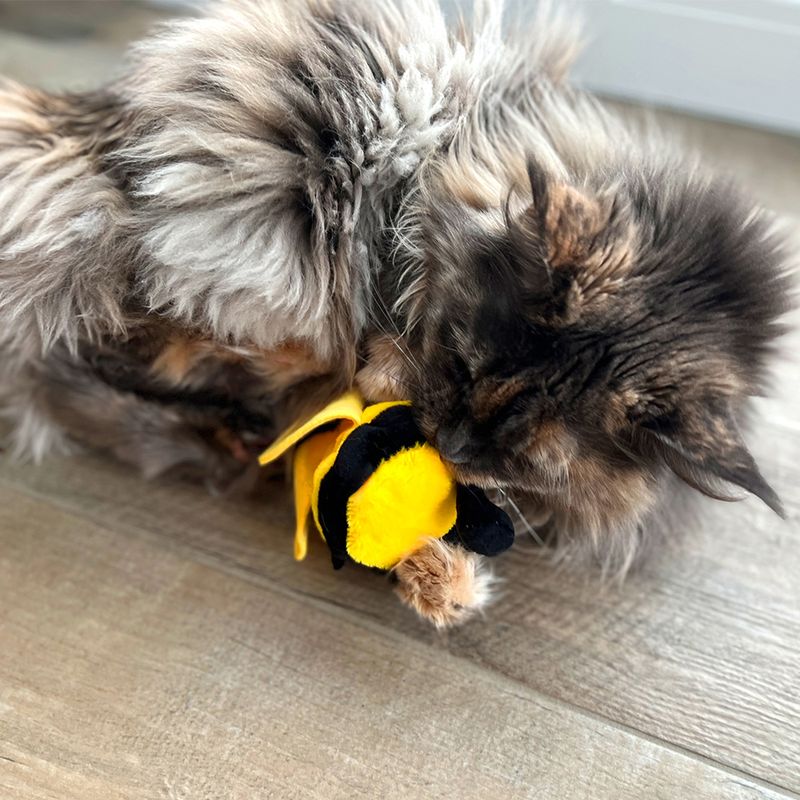 Aumüller Katzenspielzeug Hummel Maggie mit Katzenminze | bitiba %
