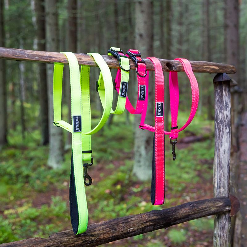 Rukka Bliss Neon Leine, pink zu TOP-Preisen