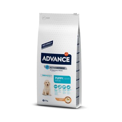 Advance Maxi Puppy Protect