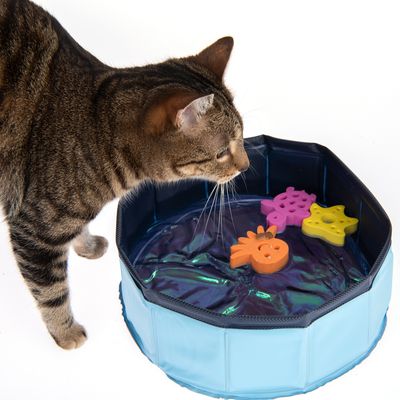 Kitty Pool mit schwimmfähigem Spielzeug