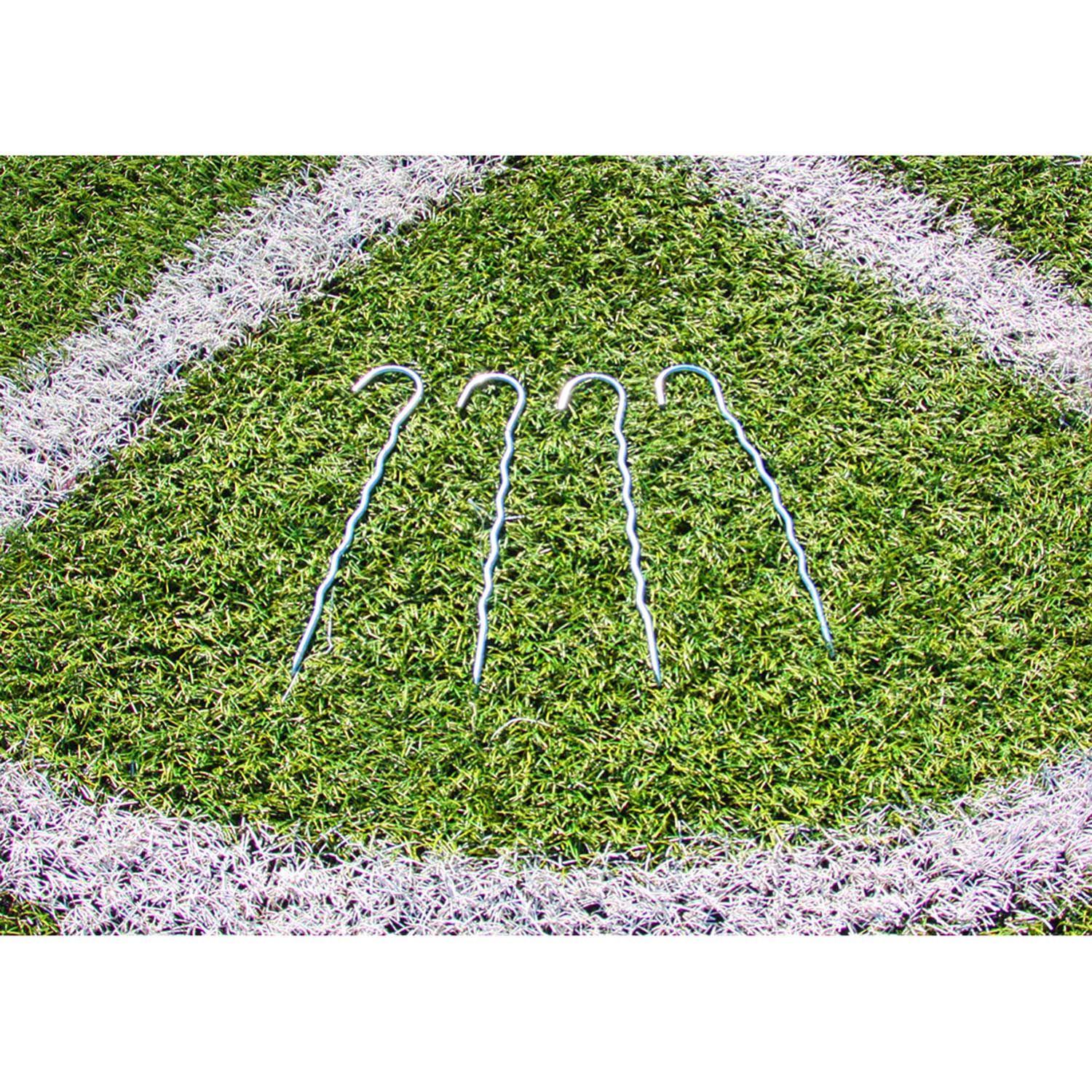 Buffalo Euro Cup 150 x 75 cm Fußballtor