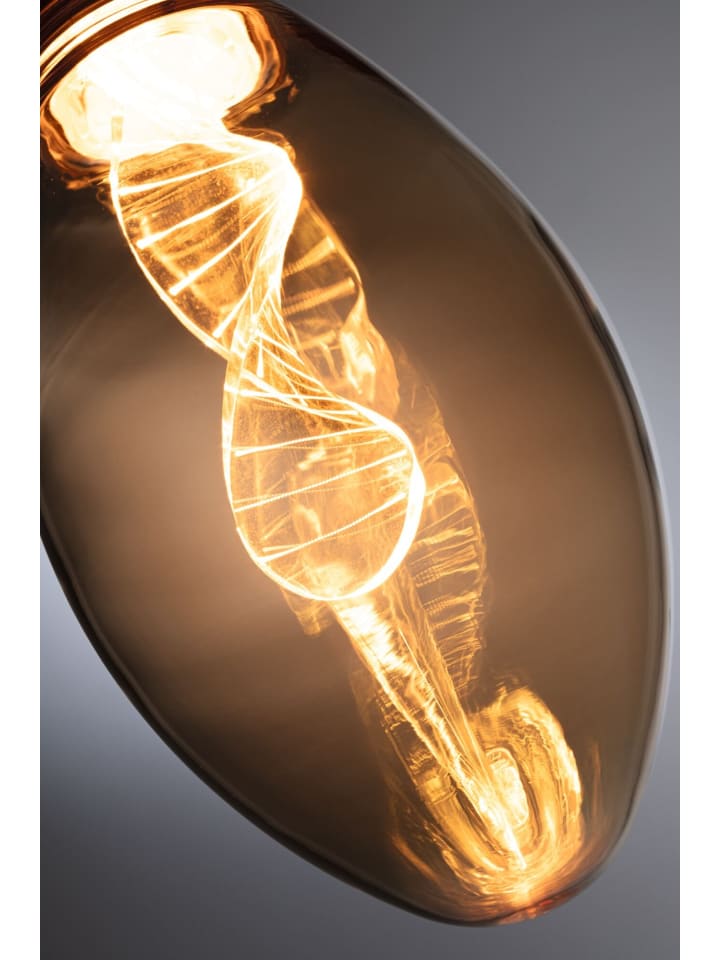 paulmann Inner Glow Edition LED Birne Helix günstig kaufen onesize