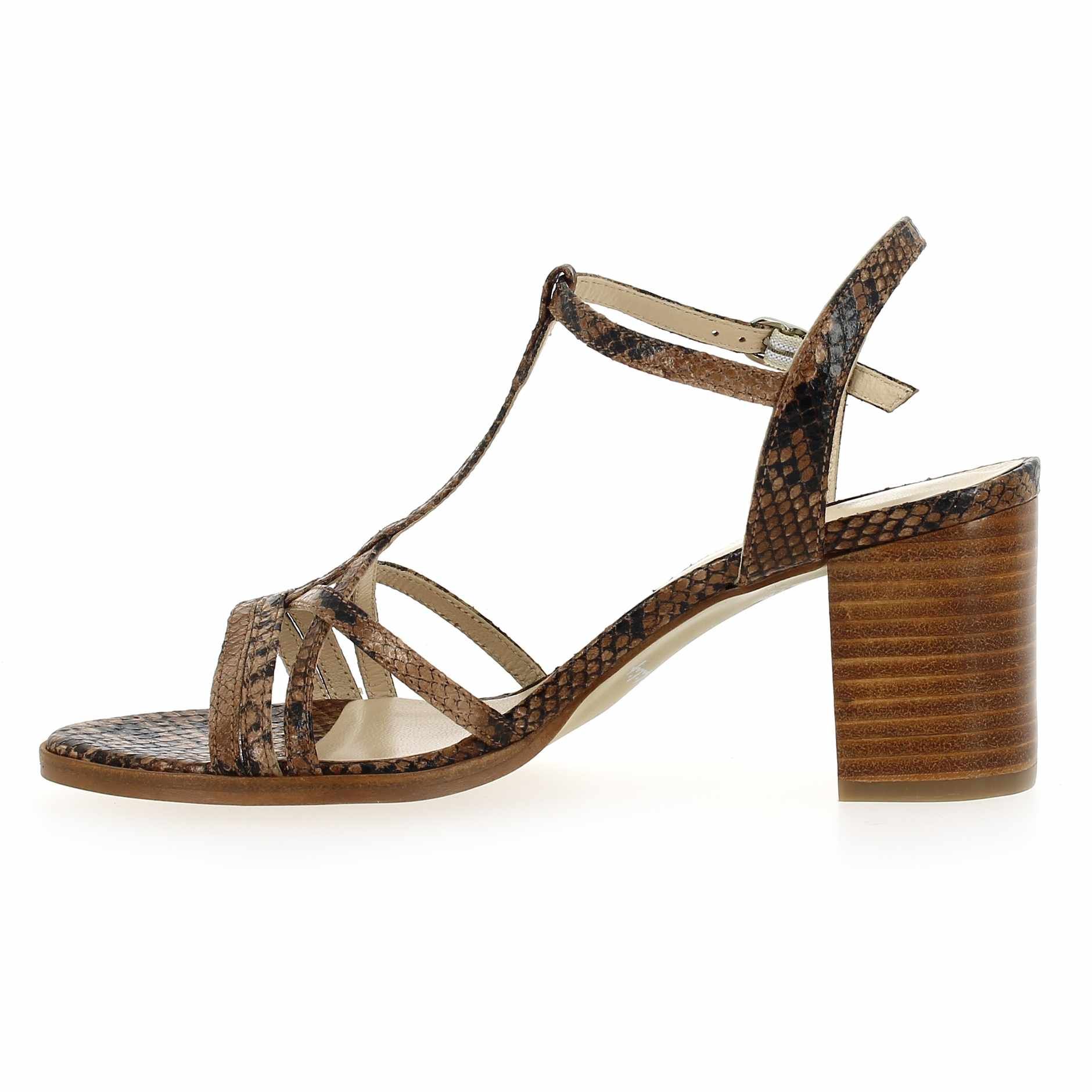 Janie Philip  GAMA - Camel Python
