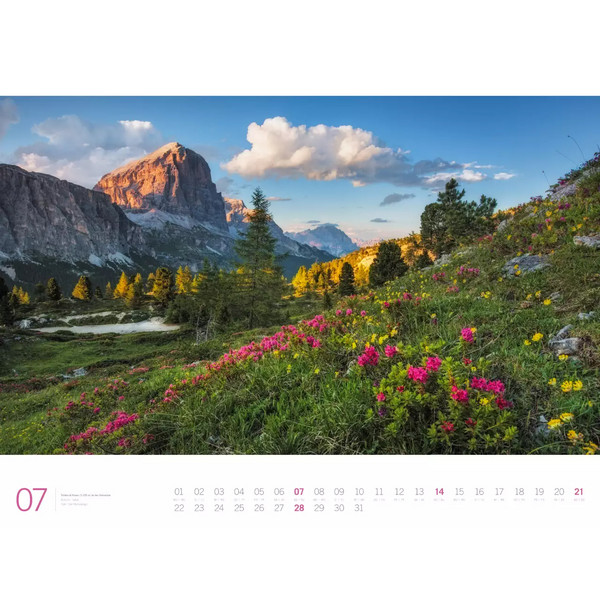 ALPEN - ACKERMANN GALLERY KALENDER 2024 - Kalender